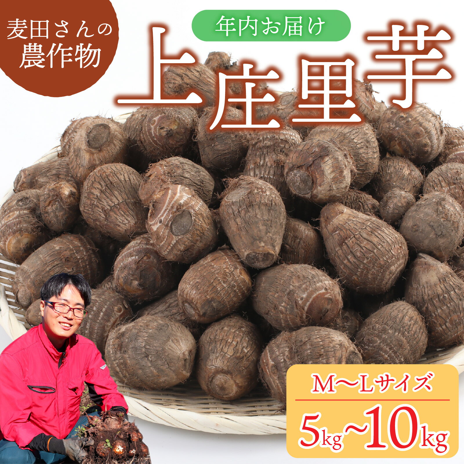 【選べる容量】【先行予約】麦田さんの農作物 上庄里芋 5～10kg M～Lサイズ【10月中旬より順次発送】[A-012001oya]