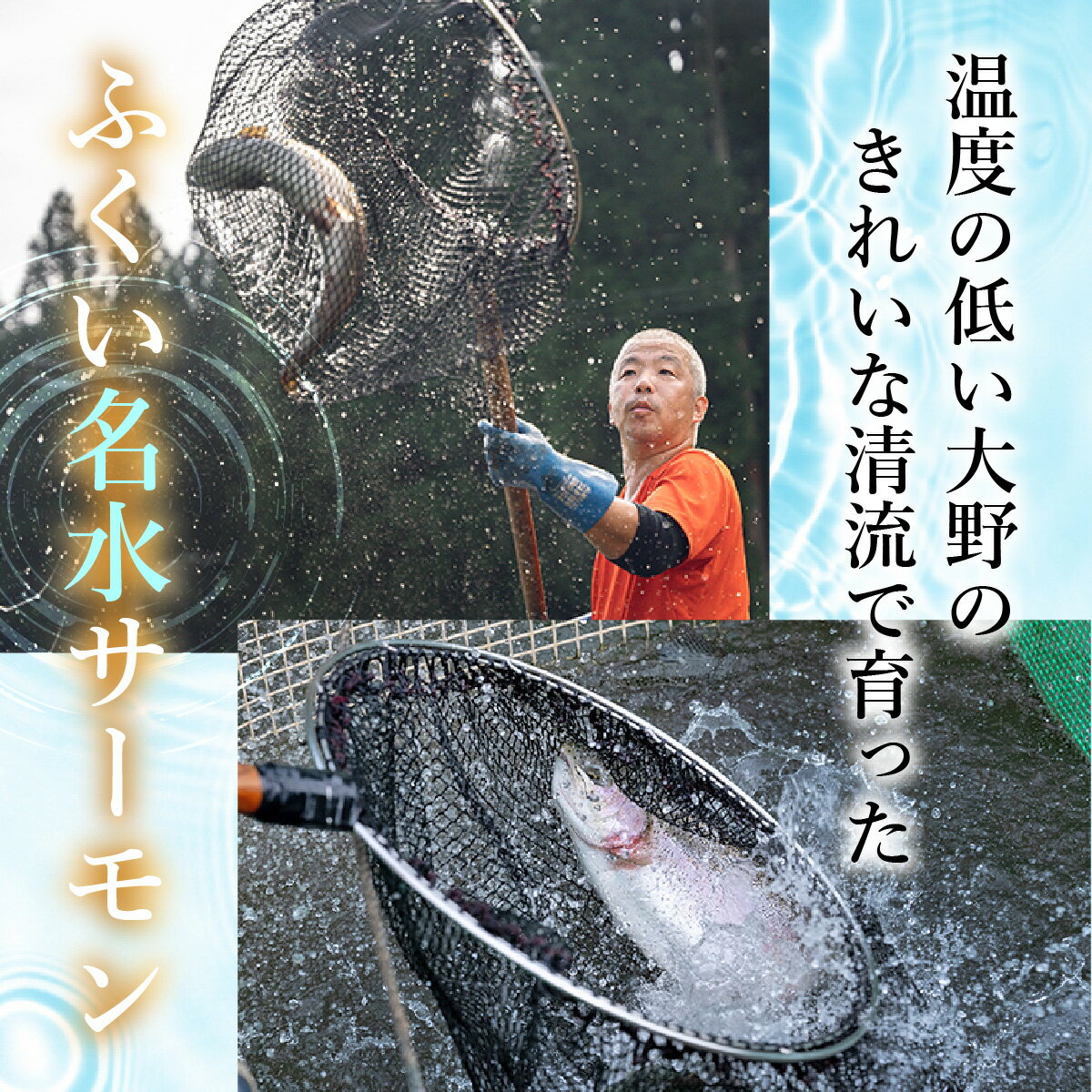 福井県大野市の画像3