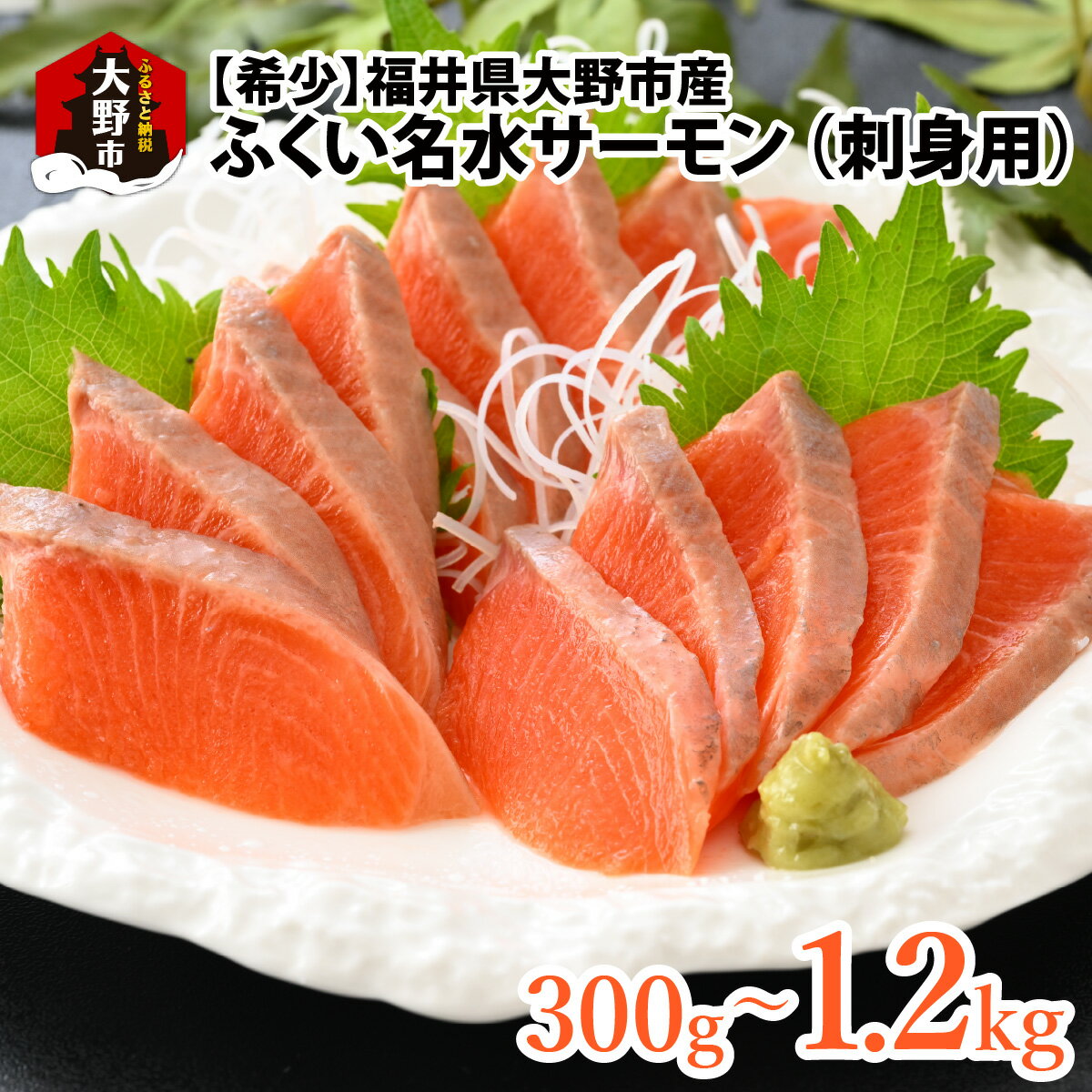 [希少]大野市産 ふくい名水サーモン| 海鮮 魚介 魚 鮭 サケ さけ 福井 サーモン ブランド魚 国産 真空包装 冷凍 生食可 刺身 寿司 丼 カルパッチョ ムニエル 低脂肪 美容 健康 送料無料[A-014007]