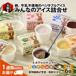 【ふるさと納税】みんなのアイス6個セット（ 卵・牛乳・小麦等アレルギー特定原材料8品目不使用のアイス）【スイーツ・お菓子・アイス】 [A-031001]