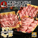【ふるさと納税】【福井のブランド豚肉】荒島ポーク食べ比べ焼き肉セット3点盛 700g|食べ比べ 国産 豚肉 豚ロース 豚肩ロース 豚バラ肉 焼肉 冷凍 小分け ...