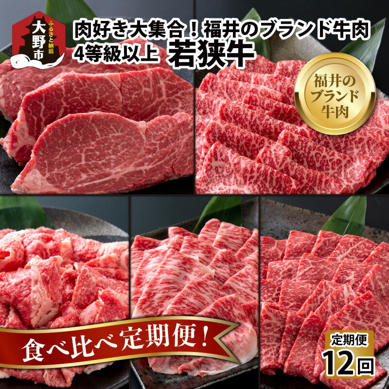 【ふるさと納税】【肉の定期便×12回コース】肉好き大集合！若狭牛食べ比べ 定期便！【福井のブランド牛肉】【4等級以上】[O-054001]|焼き肉 すき焼き しゃぶしゃぶ ステーキ 国産 牛肉 モモ ロース 肩 バラ ヒレ 4等級以上 サシお取り寄せ 冷凍 パック 小分け 送料無料