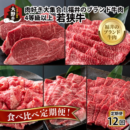 【肉の定期便×12回コース】肉好き大集合！若狭牛食べ比べ 定期便！【福井のブランド牛肉】【4等級以上】[O-054001]|焼き肉 すき焼き しゃぶしゃぶ ステーキ 国産 牛肉 モモ ロース 肩 バラ ヒレ 4等級以上 サシお取り寄せ 冷凍 パック 小分け 送料無料