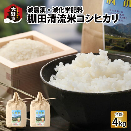 名水の里 越前大野の棚田清流米コシヒカリ 2kg×2袋 減農薬 減化学肥料[A-011013] |こしひかり 農薬いらず 合計4kg 国産 送料無料