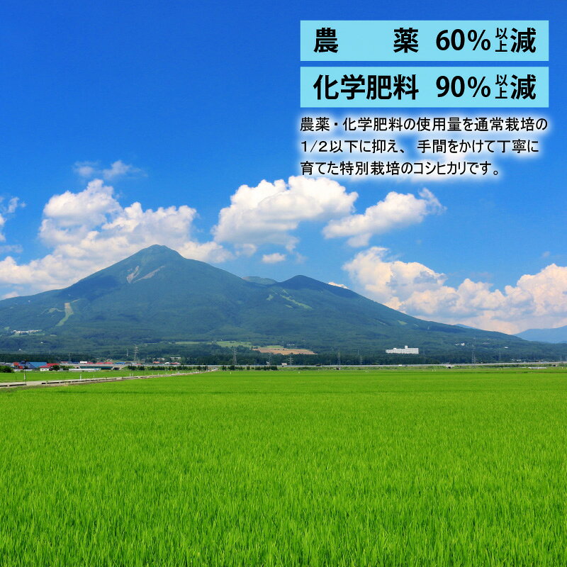 【ふるさと納税】【先行予約】【選べる精米方法・内容量・お届け回数】【令和8年産　新米】減農薬・減化学肥料の特別栽培コシヒカリ 白米 玄米 定期便 農家直送 福井県大野市産 [M-004001] | お米 特別栽培 コシヒカリ 白米 f182052-ono-10001234 福井県大野市 サンプル画像2