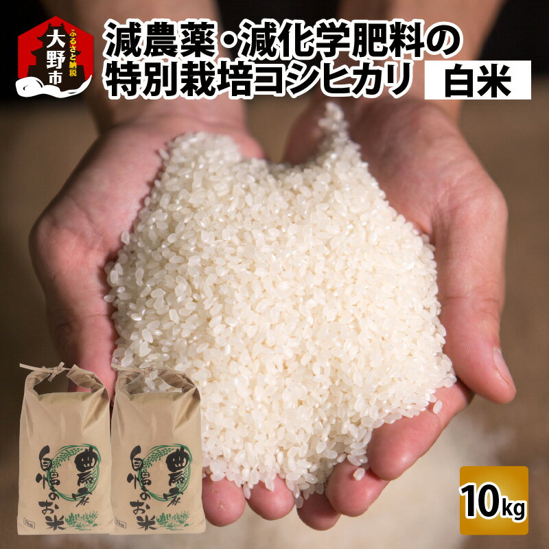 [令和5年産]減農薬・減化学肥料の特別栽培コシヒカリ 白米 10kg(5kg×2)農家直送 福井県大野市産 [お米・特別栽培・コシヒカリ・白米・10kg][B-004002]