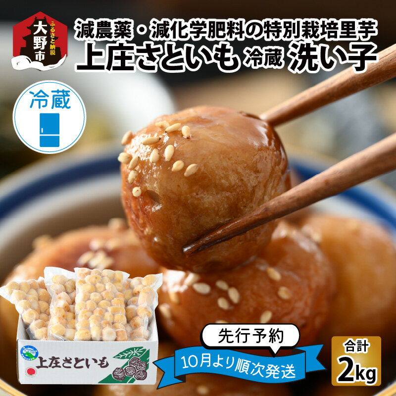 52位! 口コミ数「0件」評価「0」【先行予約】上庄さといも 洗い子 2kg（500g × 4袋）【冷蔵】減農薬・減化学肥料の特別栽培里芋 農家直送 煮物に便利な小さめサイズ【･･･ 