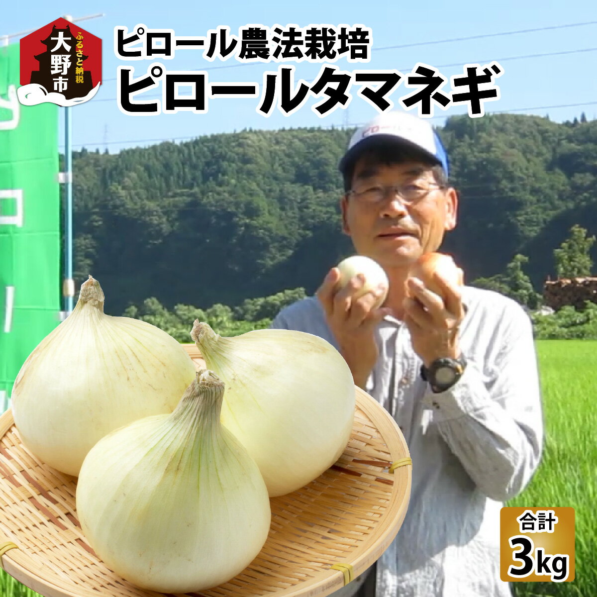 【先行予約】【令和6年産】【ピロールタマネギ】ピロール農法で栽培したタマネギ3kg | 弱アルカリ性 ミネラル ビタミン 送料無料 [A-071004]