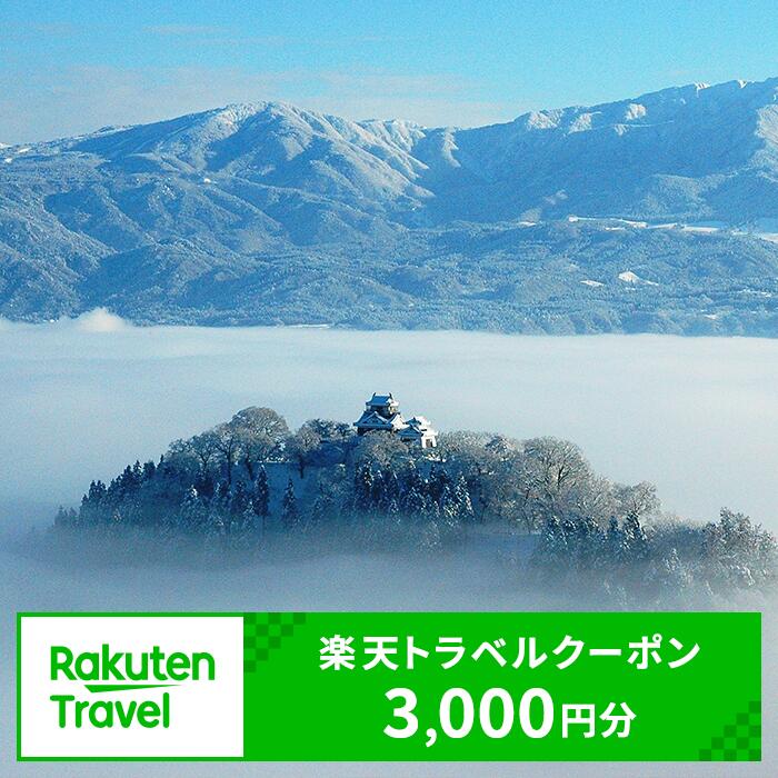 福井県大野市の対象施設で使える　楽天トラベルクーポン　寄付額10,000円(クーポン3,000円)　