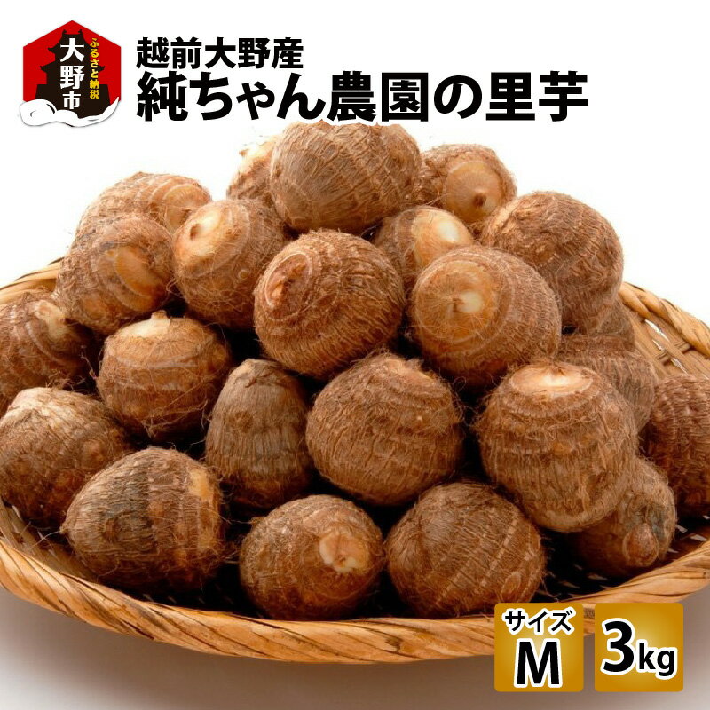 【ふるさと納税】【先行予約】越前大野産 「純ちゃん農園の里芋 3kg」サイズM寸【10月下旬より順次発送..