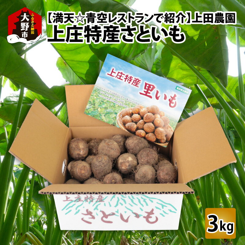 【満天☆青空レストランでご紹介】【年内出荷】上田農園 上庄特産さといも 3kg[A-080001]|和食 根菜 煮物 送料無料