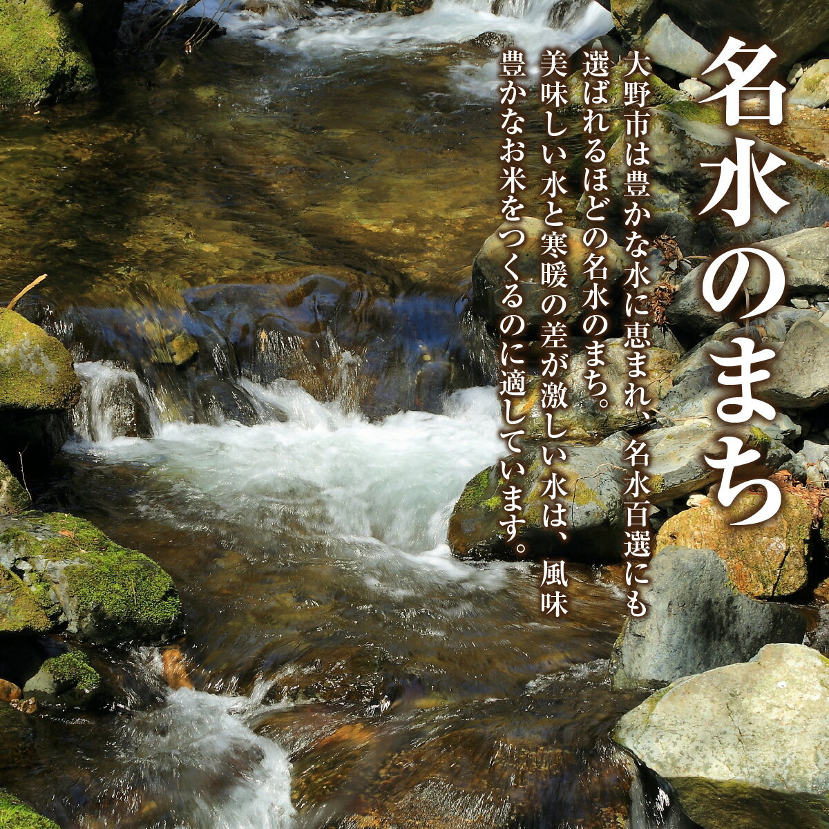 福井県大野市の画像3