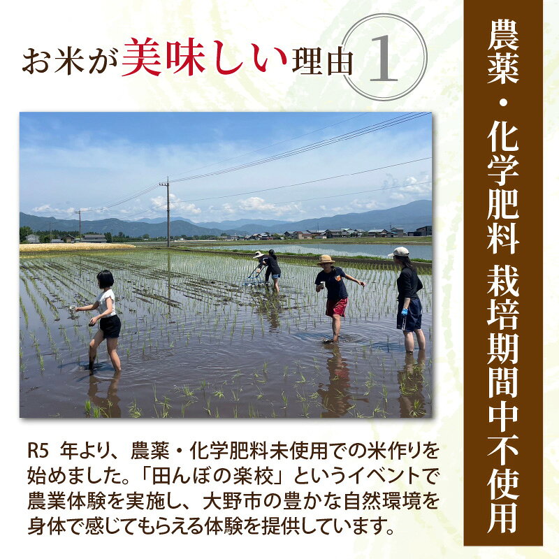 【先行予約】【令和8年産 新米】【選べる精米歩合・容量】よえもん農家のコシヒカリ【10月より順次発送】 [B-085001oya] 栽培期間中農薬・化学肥料不使用 減農薬 f182052-ono-10001060 福井県大野市 サンプル画像3