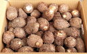 【ふるさと納税】大野の里芋 3kg 【野菜・根菜】 お届け:...