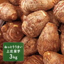 【ふるさと納税】【2019年度分先行予約】特別栽培 減農薬 ...