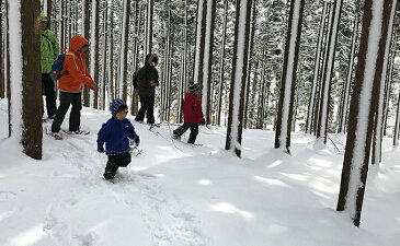 【ふるさと納税】【森で雪遊び体験】スノーシューガイドツアーin六呂師高原　2名様分　【体験チケット】