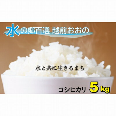 [令和5年産]こしひかり(福井県大野市産)エコファーマー米(白米)5kg[お米・コシヒカリ][A-003006]