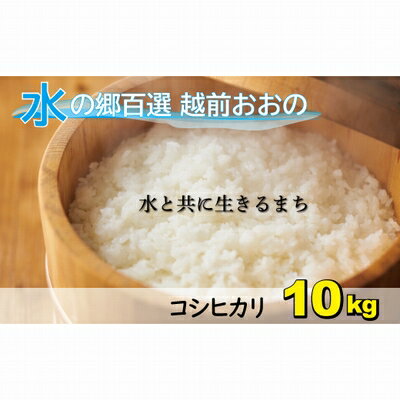 【ふるさと納税】【令和5年産】こしひかり（福井県大野市産）エ