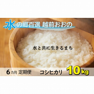 【ふるさと納税】【6ヶ月定期便】こしひかり 10kg「エコファーマー米」−水のまちのお米−　【定期便・お米・コシヒカリ・6ヶ月連続・米・計60kg・6回】[H-003002]