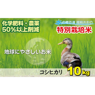 [令和5年産]こしひかり 10kg[白米]減農薬・減化学肥料 「特別栽培米」−地球にやさしいお米− [お米・コシヒカリ][A-003008]