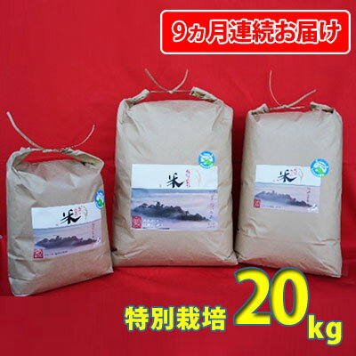 【ふるさと納税】【9ヶ月定期便】名水のまち越前おおの産「特別栽培コシヒカリ」20kg　【定期便・お米・コシヒカリ】