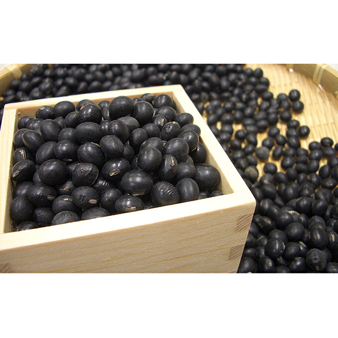 越前大野産 黒大豆 1kg 【大豆・豆類】