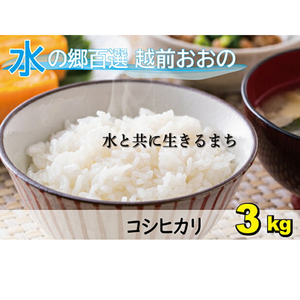 [令和5年産]こしひかり(福井県大野市産)エコファーマー(白米)米3kg[お米・コシヒカリ][A-003004]