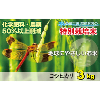 【ふるさと納税】【令和5年産】こしひかり（福井県大野市産）福井県特別栽培米 3kg【白米】【お米・コシヒカリ】[A-003003]