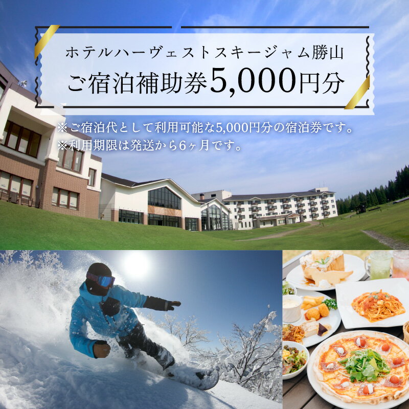 【ふるさと納税】ホテルハーヴェストスキージャム勝山ご宿泊補助券5000円分 |宿泊 旅行 トラベル ホテル 利用券 チケット 観光 勝山市その2