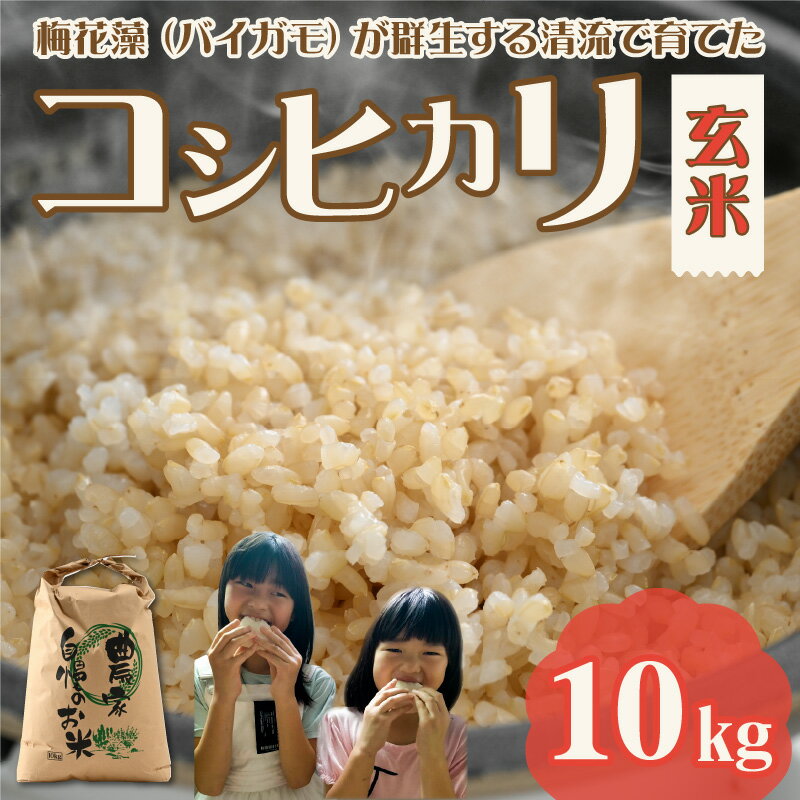 【ふるさと納税】【先行予約】令和6年産 梅花藻が群生する清流で育てたコシヒカリ（玄米 10kg） ※2024年9月下旬以降順次発送予定 | 新米 国産 福井県産 米 お米 おこめ ブランド米 ごはん ご飯 お取り寄せ 直送 10kg 10キロ 1袋 袋包装 人気 品種 おいしい 11000円 送料無料