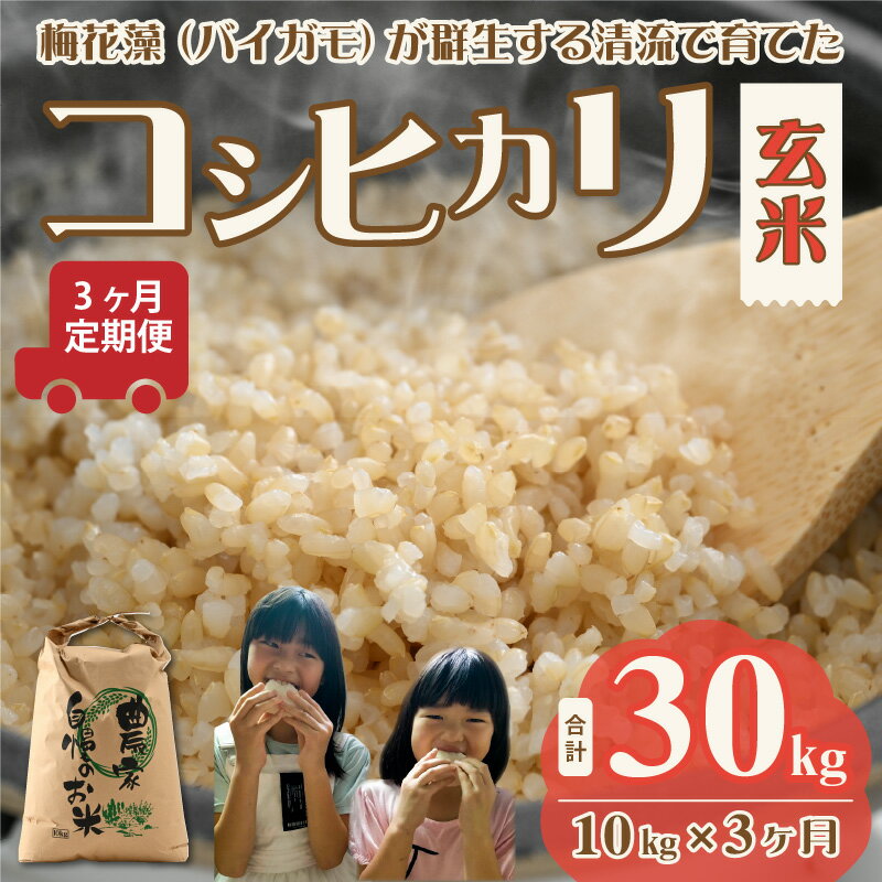 【ふるさと納税】【先行予約】令和6年産 梅花藻が群生する清流で育てたコシヒカリ（玄米 10kg）3か月定期便 ※2024年9月下旬以降順次発送予定 | 新米 国産 福井県産 お米 おこめ ブランド米 ごはん ご飯 農家 直送 30キロ 10kg×3回 10キロ×3回 袋包装 人気 品種 送料無料