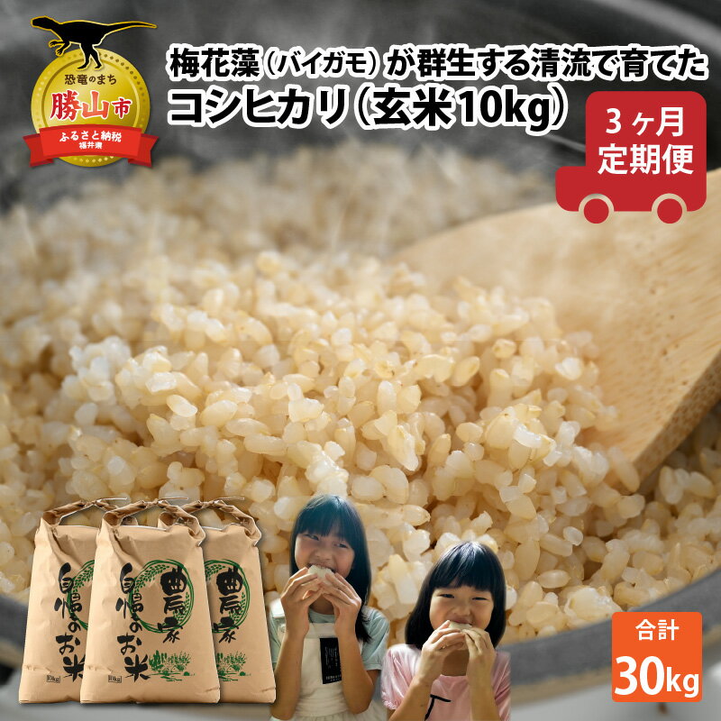 楽天市場】コシヒカリ 福井 30kgの通販 楽天市場】コシヒカリ 福井 30kgの通販