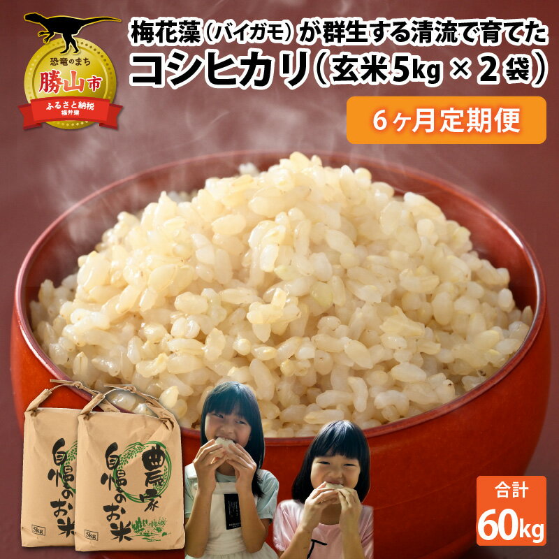 【ふるさと納税】【先行予約】令和6年産 梅花藻が群生する清流