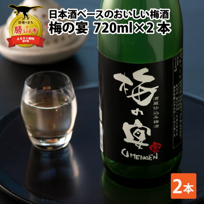 日本酒ベースのおいしい梅酒　梅の宴(720ml×2本) | 日本酒 焼酎 福井梅