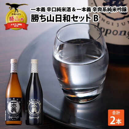 勝ち山日和セットB（一本義 辛口純米酒 720ml×1本 ＆ 一本義 辛爽系純米吟醸 720ml×1本） | 日本酒 瓶 勝山 晩酌 冷や 燗 金賞