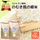 【ふるさと納税】 【先行予約】 【数量限定】 令和7年産 のむき風の郷米 コシヒカリ 5kg×2袋 (計10kg) / 新米 ブランド米 米 ごはん コシヒカリ 5kg 2袋 国産 おすすめ 人気 福井県 勝山市 ※2025年10月より順次発送