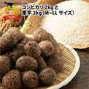 【ふるさと納税】令和7年産 コシヒカリ 2kgと里芋 2kg(M〜LLサイズ)
