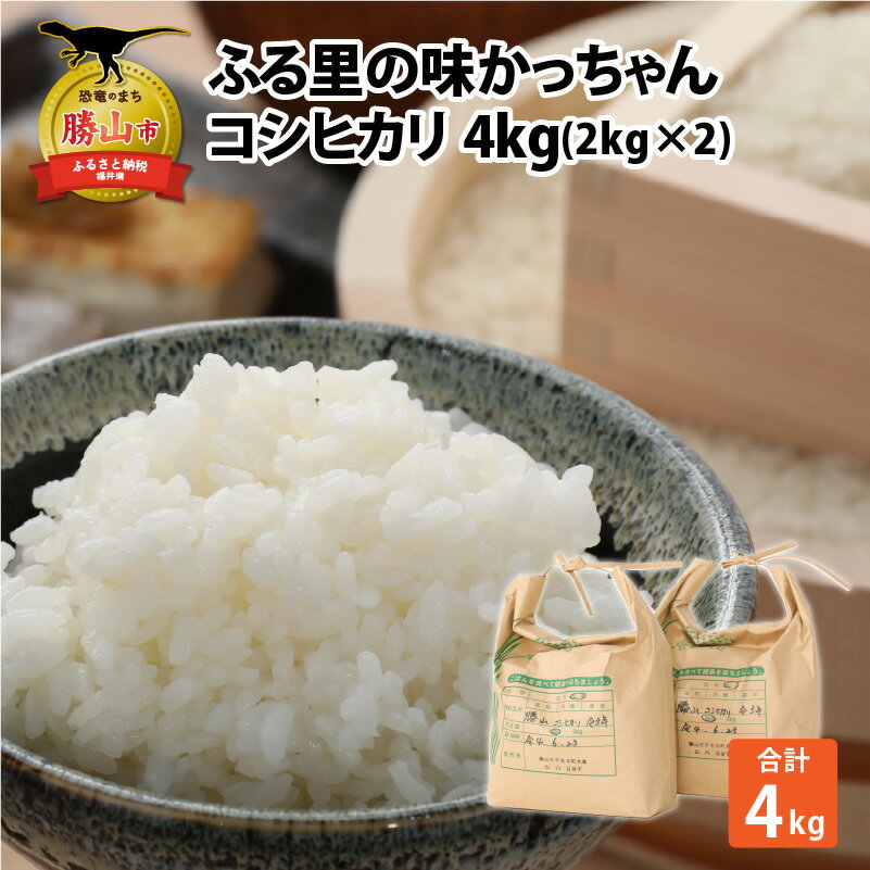 令和5年産 コシヒカリ 4kg |米 お米 おこめ おコメ こしひかり 4キロ