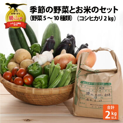 季節の野菜5〜10種類と令和5年産 コシヒカリ2kg |米 お米 おこめ おコメ こしひかり 2キロ やさい