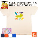 【ふるさと納税】キッズTシャツ(トリケラトプス大柄・4色)と綿Wガーゼハンカチの2点セット