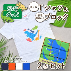 【ふるさと納税】キッズTシャツ(4色)と恐竜絵合わせブロックの2点セット 画像1