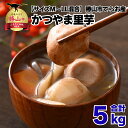 【ふるさと納税】【先行予約】勝山市てらお産 かつやま里芋 5kg×1箱(サイズM~LL混合) / 里芋 さといも いも 芋 煮物 おすすめ返礼品 福井県産 勝山市産 和食 野菜 根菜 料理 北陸 福井県 勝山市 ※2025年11月上旬より順次発送