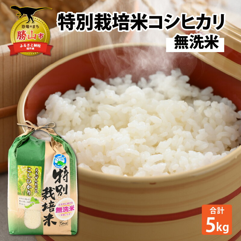 【ふるさと納税】【先行予約】令和6年産 特別栽培米コシヒカリ