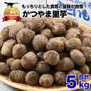 【ふるさと納税】【先行予約】令和7年産 かつやま 里芋 5kg | 野菜 芋 いも 和食 煮物 おでん 惣菜 さといも 大容量 新鮮 料理 食べ頃 完熟 旬 おいしい お取り寄せ セット ギフト サイズ 特産 名産 農家 直送 家庭用 箱入り 送料無料