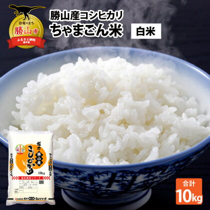 令和5年産 勝山産コシヒカリ　ちゃまごん米　10kg　精米 | 福井県産 国産 米 お米 おこめ おコメ 10キロ