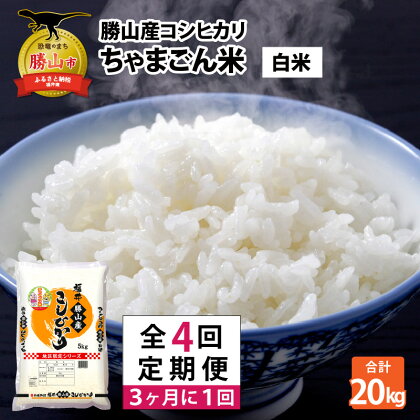 『定期便』 令和5年産 勝山のお米「コシヒカリ」5kg(3ヶ月に1回プラン)全4回| 福井県産 国産 米 お米 おこめ おコメ 5キロ×4回