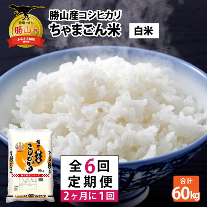 『定期便』 令和5年産 勝山のお米「コシヒカリ」10kg(2ヶ月に1回プラン)全6回| 福井県産 国産 米 お米 おこめ おコメ 10キロ×6回