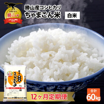 『定期便』 令和5年産 勝山のお米コシヒカリ5kg 全12回| 福井県産 国産 米 お米 おこめ おコメ 5キロ×12回