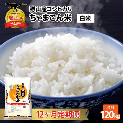 『定期便』 令和5年産 勝山のお米コシヒカリ10kg 全12回| 福井県産 国産 米 お米 おこめ おコメ 10キロ×12回