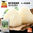 6位! 口コミ数「0件」評価「0」【6ヶ月連続定期便】令和5年産 福井県産奥越コシヒカリ5kg ×1袋（5kg × 6ヶ月） | 福井県産 国産 米 お米 おこめ おコメ こ･･･ 